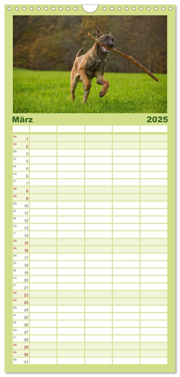 Bild: 9783457120217 | Familienplaner 2025 - Faszination Hund mit 5 Spalten (Wandkalender,...