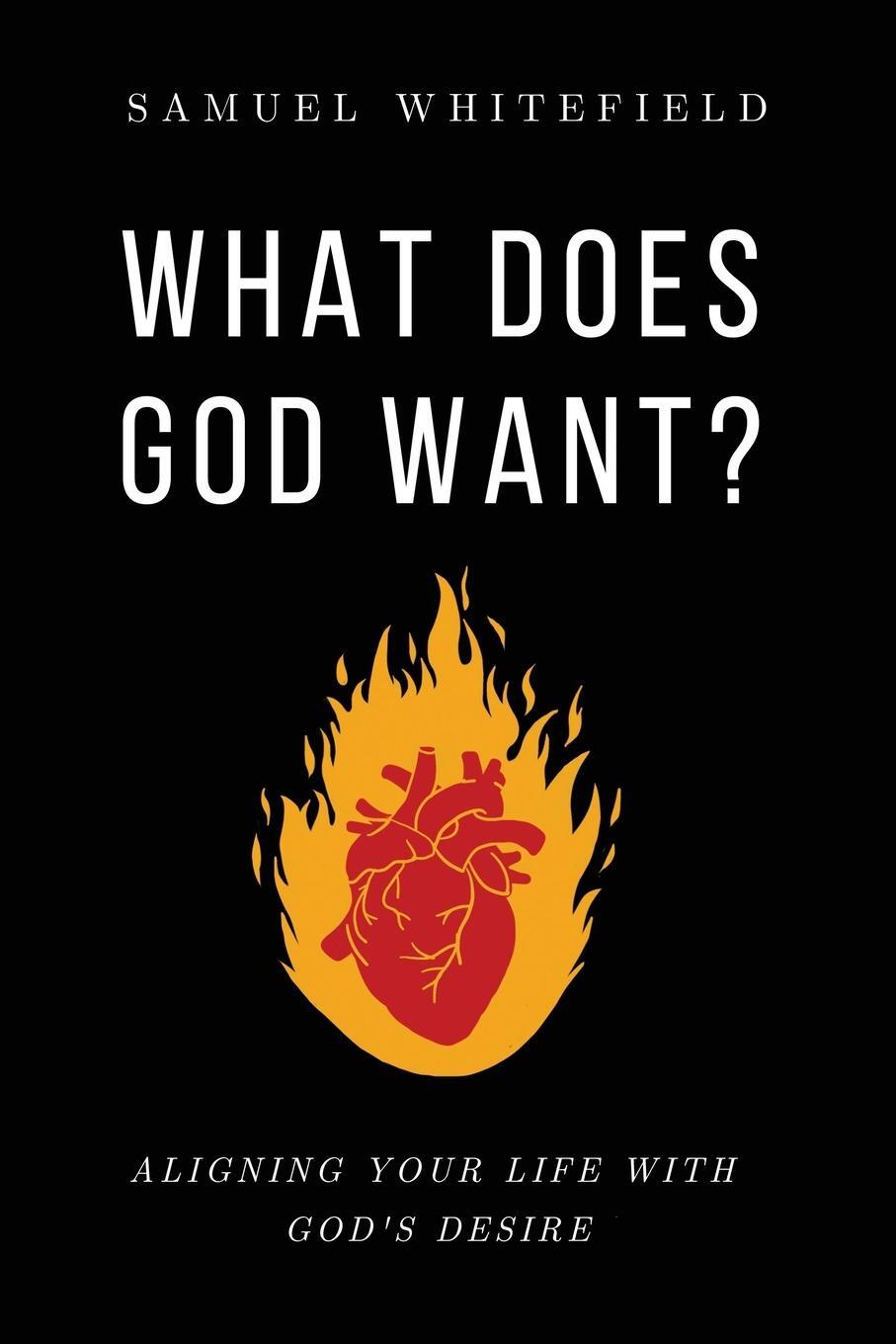 Cover: 9781735345468 | What Does God Want? | Aligning Your Life with God's Desire | Buch