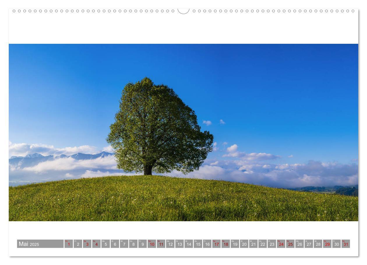 Bild: 9783435358168 | Oberallgäu Panorama (Wandkalender 2025 DIN A2 quer), CALVENDO...