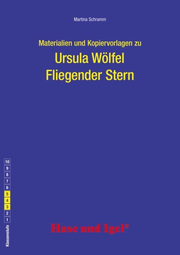 Cover: 9783863163587 | Fliegender Stern. Begleitmaterial | Ursula Wölfel | Taschenbuch | 2020