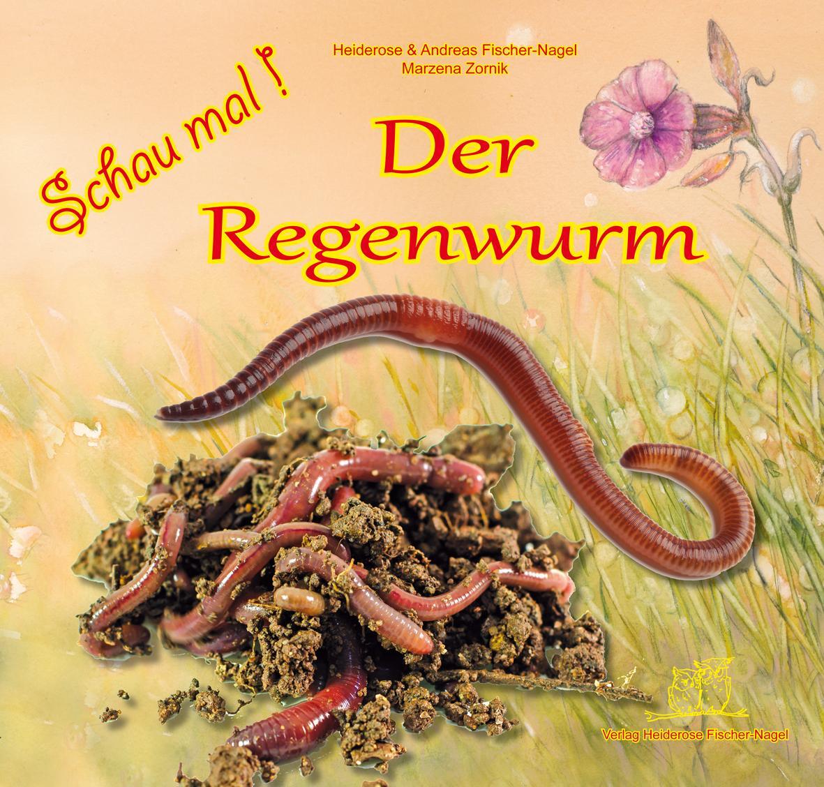 Cover: 9783930038947 | Schau mal! Der Regenwurm | Heiderose Fischer-Nagel (u. a.) | Buch