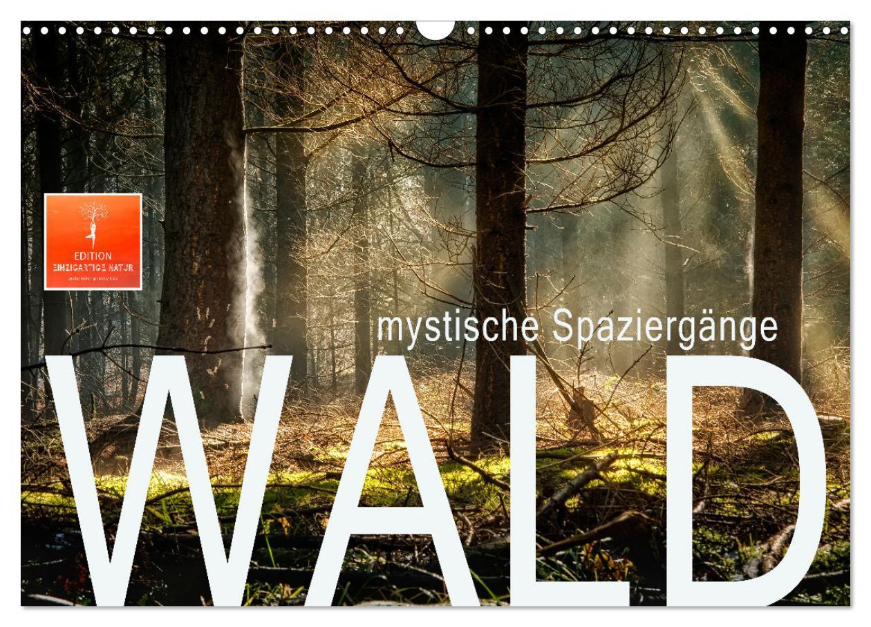 Cover: 9783435071623 | Wald - mystische Spaziergänge (Wandkalender 2025 DIN A3 quer),...