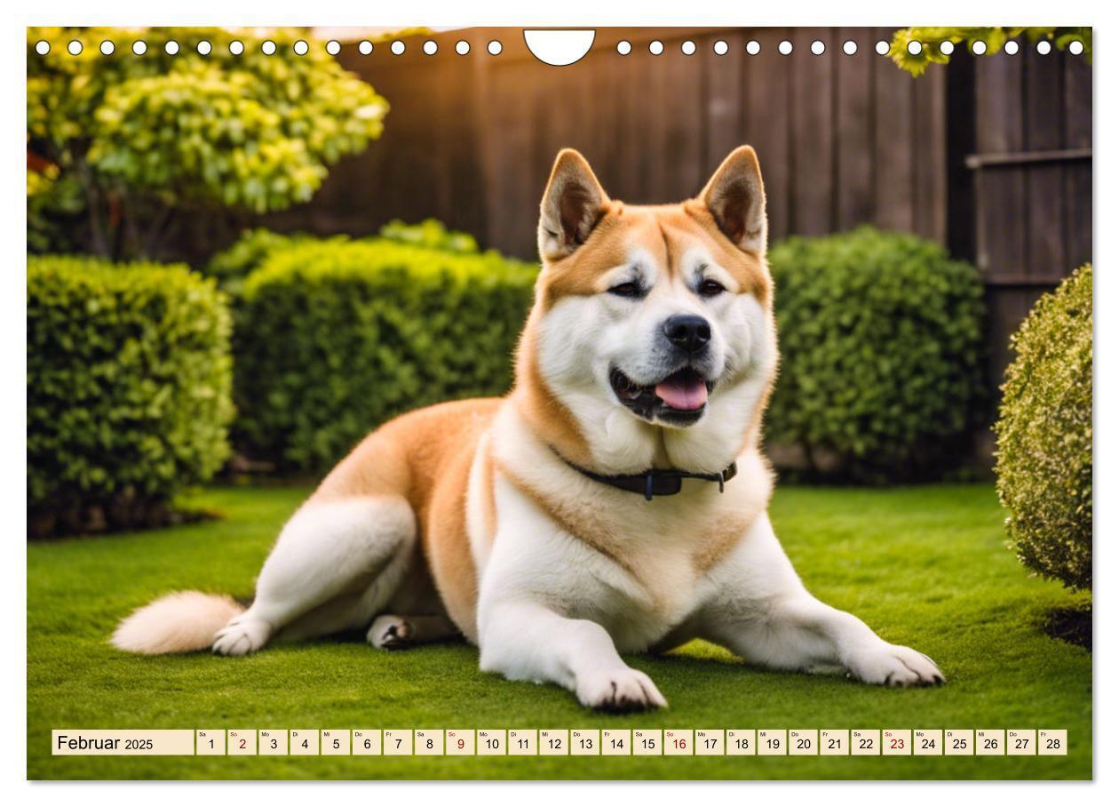 Bild: 9783457071649 | Akita Inu - Inbegriff der Treue (Wandkalender 2025 DIN A4 quer),...