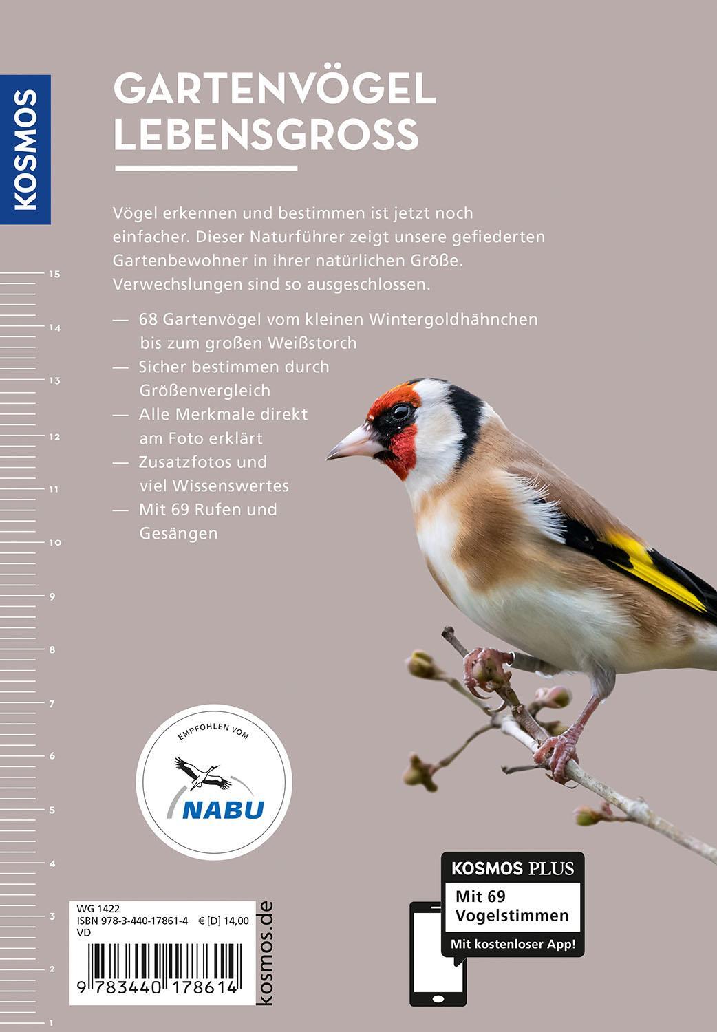 Rückseite: 9783440178614 | Gartenvögel lebensgroß | Daniela Strauß | Taschenbuch | 128 S. | 2024
