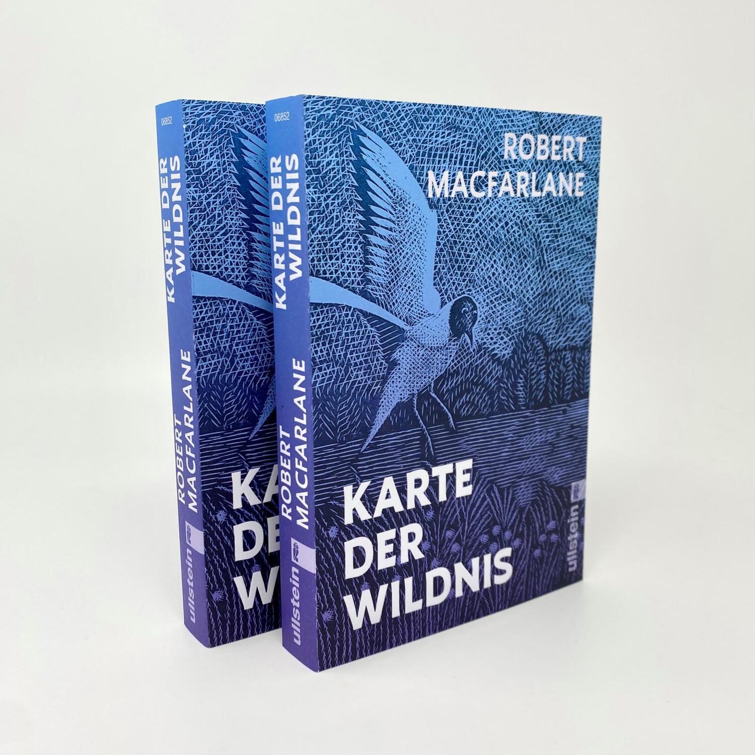 Bild: 9783548068527 | Karte der Wildnis | Robert Macfarlane | Taschenbuch | 304 S. | Deutsch