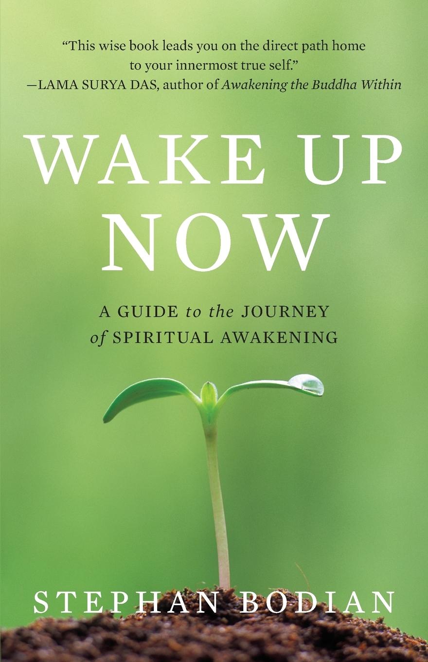 Cover: 9780071742221 | Wake Up Now | Stephan Bodian (u. a.) | Taschenbuch | Englisch | 2010