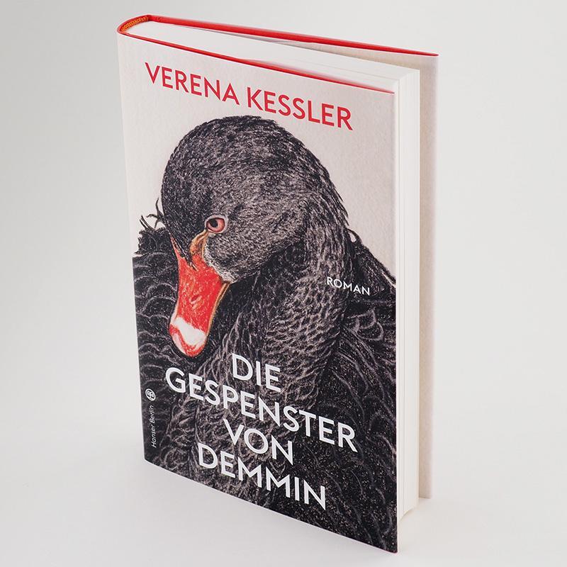 Bild: 9783446267848 | Die Gespenster von Demmin | Verena Keßler | Buch | 240 S. | Deutsch