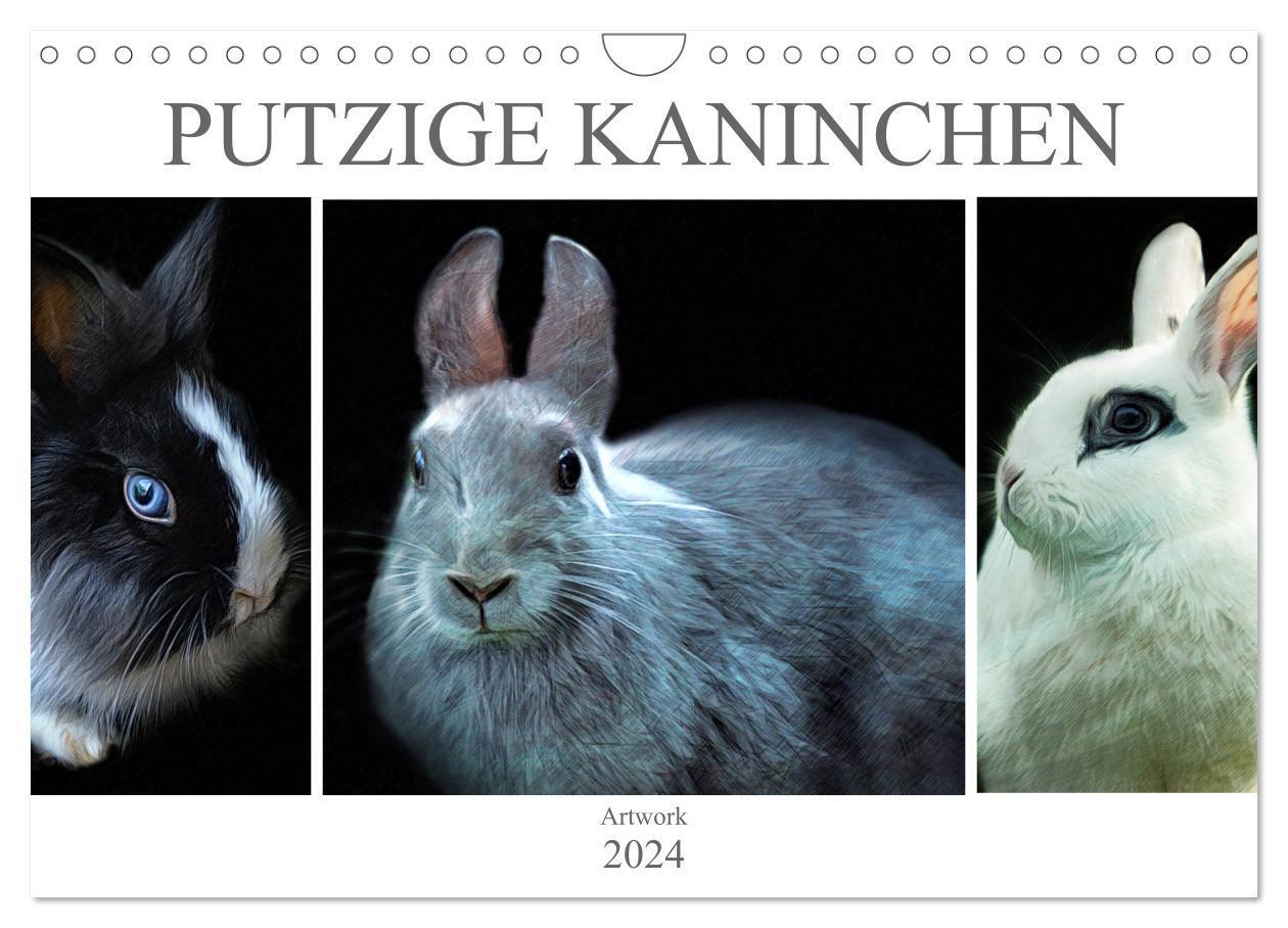 Cover: 9783383154355 | Putzige Kaninchen - Artwork (Wandkalender 2024 DIN A4 quer),...