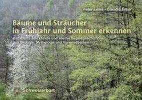Cover: 9783510654147 | Bäume und Sträucher in Frühjahr und Sommer erkennen | Leins (u. a.)