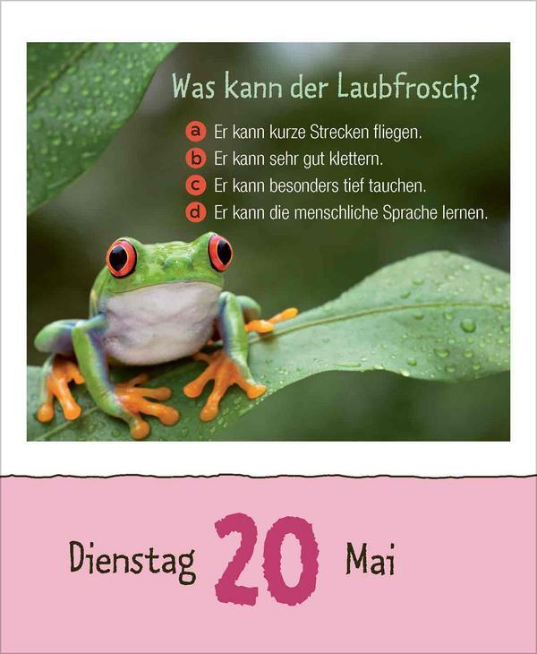 Bild: 9783731877431 | Vorsicht Geheimwissen 2025 | Verlag Korsch | Kalender | 328 S. | 2025