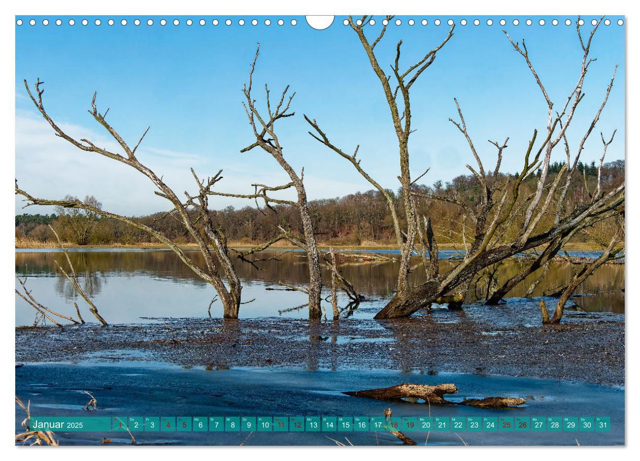 Bild: 9783383767432 | Flusslandschaft Elbe (Wandkalender 2025 DIN A3 quer), CALVENDO...