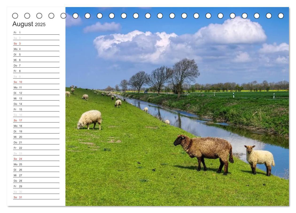 Bild: 9783435542680 | Ostfriesland - zwischen Watt und Moor (Tischkalender 2025 DIN A5...