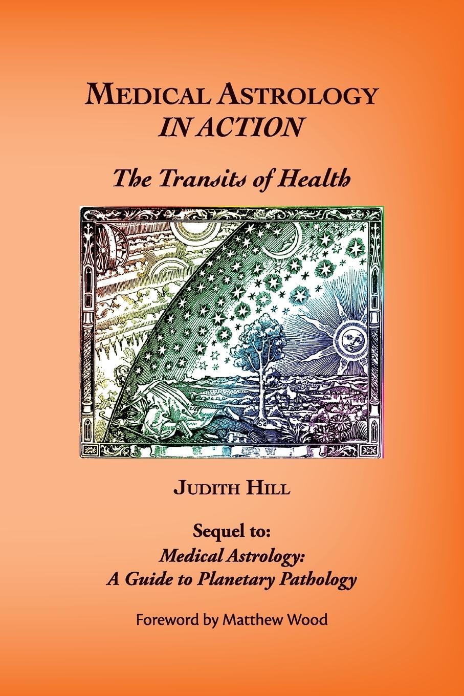 Cover: 9781883376758 | Medical Astrology In Action | The Transits of Health | Judith A. Hill