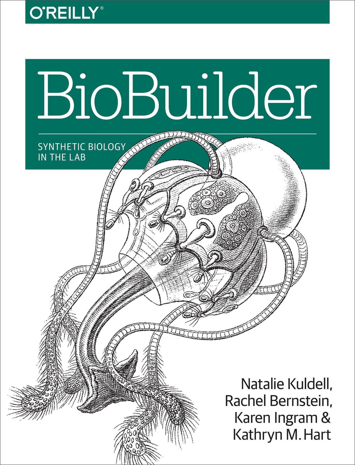 Cover: 9781491904299 | BioBuilder | Synthetic Biology in the Lab | Phd (u. a.) | Taschenbuch