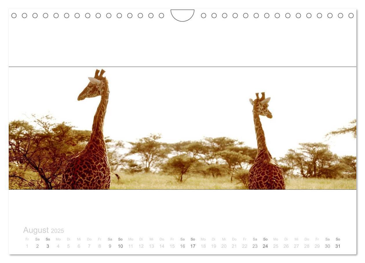 Bild: 9783435687749 | Serengeti Panorama (Wandkalender 2025 DIN A4 quer), CALVENDO...