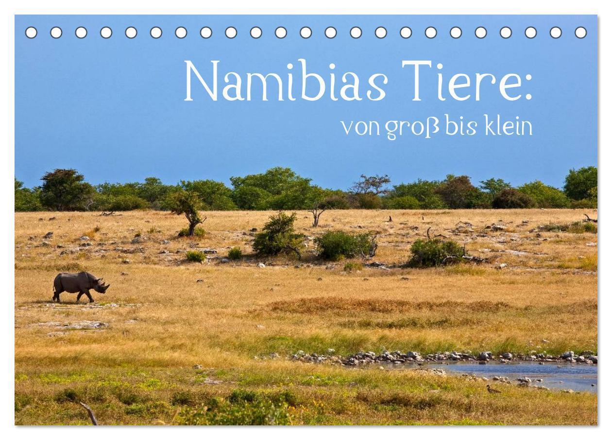Cover: 9783383568787 | Namibias Tiere: von groß bis klein (Tischkalender 2024 DIN A5...