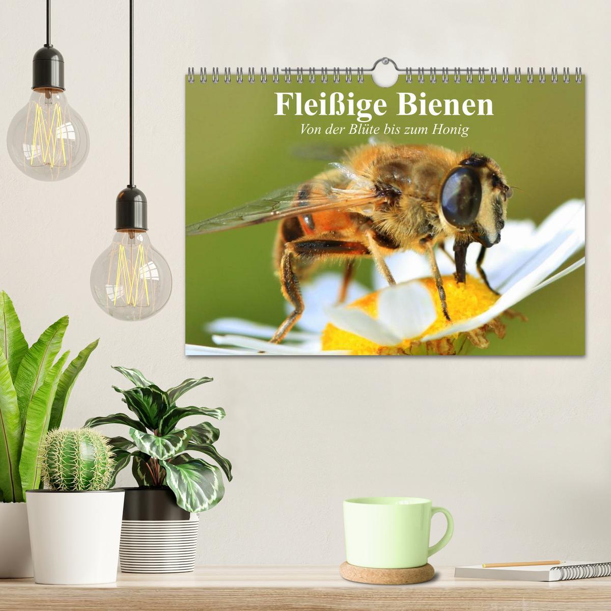 Bild: 9783435514359 | Fleißige Bienen. Von der Blüte bis zum Honig (Wandkalender 2025 DIN...