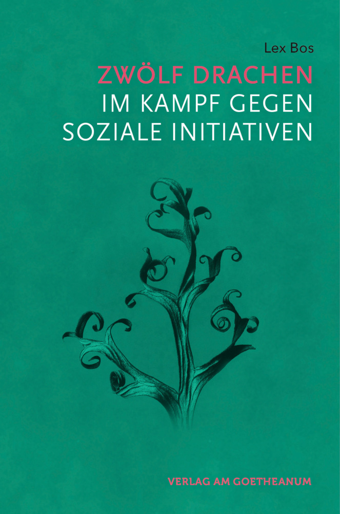 Cover: 9783723515792 | Zwölf Drachen im Kampf gegen soziale Initiativen | Lex Bos | Buch