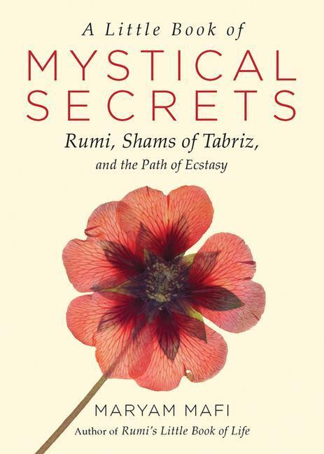 Cover: 9781571747457 | LITTLE BK OF MYSTICAL SECRETS | Maryam Mafi | Taschenbuch | Englisch