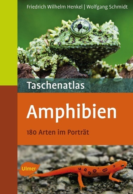 Cover: 9783800151554 | Taschenatlas Amphibien | 175 Arten für das Terrarium | Henkel (u. a.)