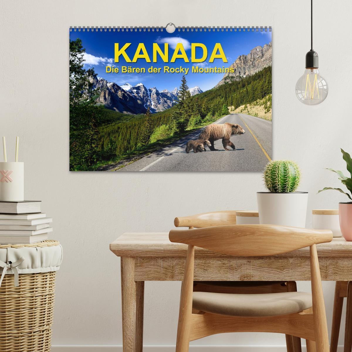 Bild: 9783383886898 | KANADA - Die Bären der Rocky Mountains (Wandkalender 2025 DIN A3...