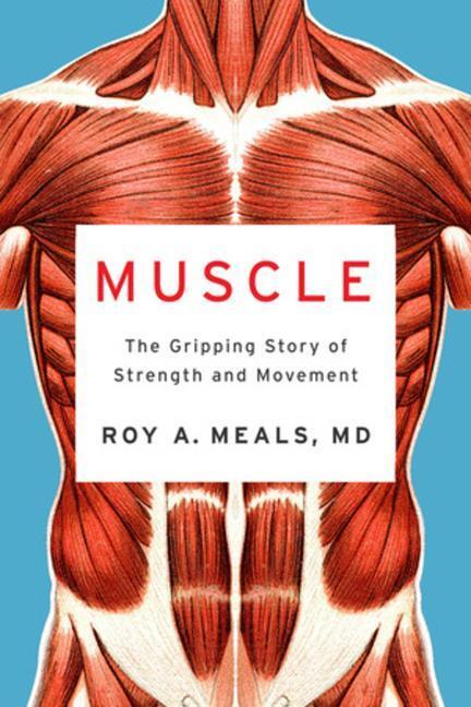 Cover: 9781324021445 | Muscle: The Gripping Story of Strength and Movement | Roy A. Meals