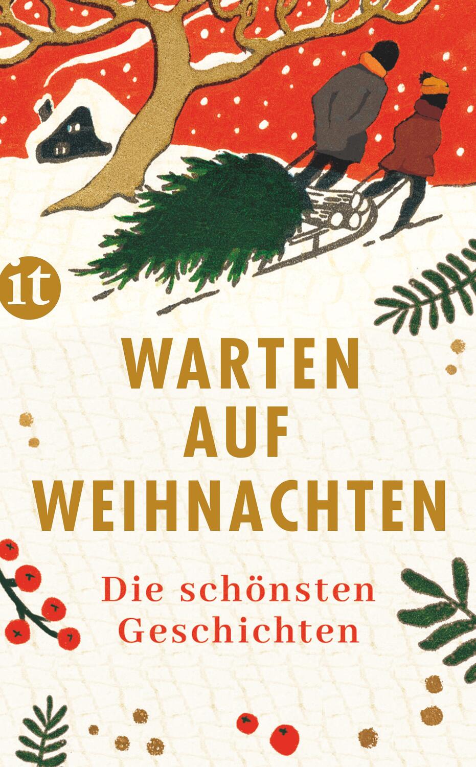 Cover: 9783458682387 | Warten auf Weihnachten | Gesine Dammel | Taschenbuch | Deutsch | 2022
