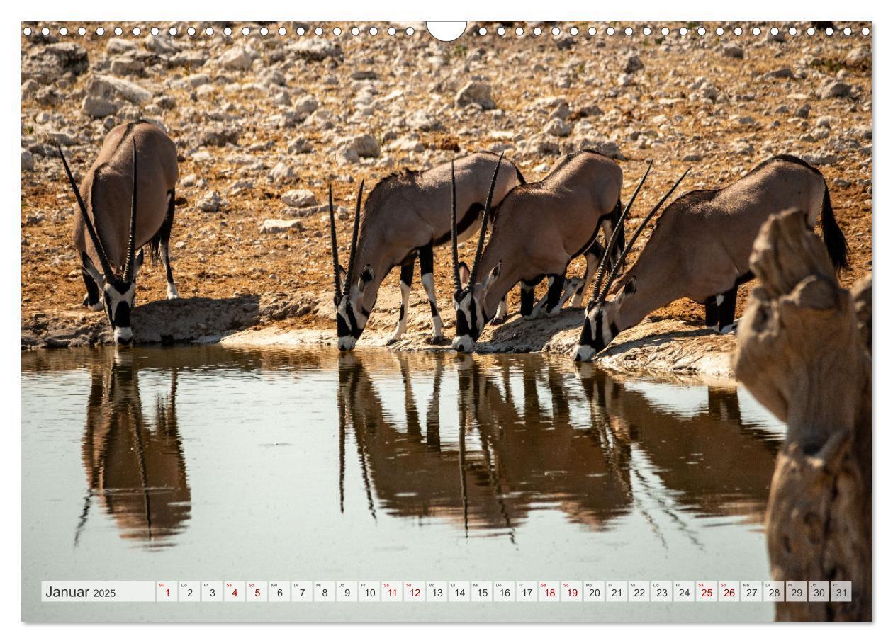 Bild: 9783383852459 | Abenteuerliches Namibia (Wandkalender 2025 DIN A3 quer), CALVENDO...