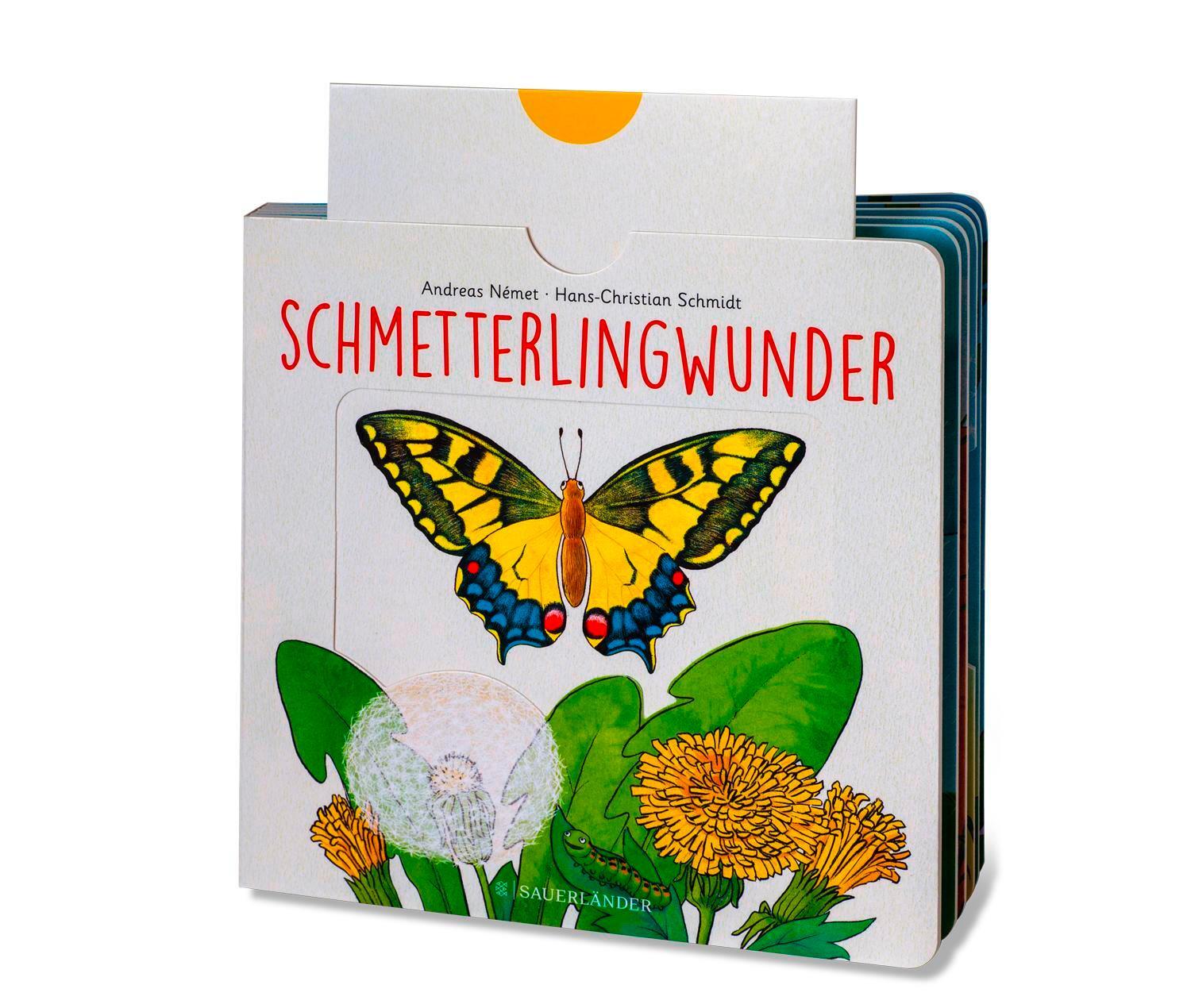 Bild: 9783737356954 | Schmetterlingwunder | Hans-Christian Schmidt | Buch | 12 S. | Deutsch