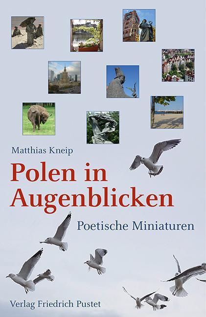 Cover: 9783791730943 | Polen in Augenblicken | Poetische Miniaturen | Matthias Kneip | Buch