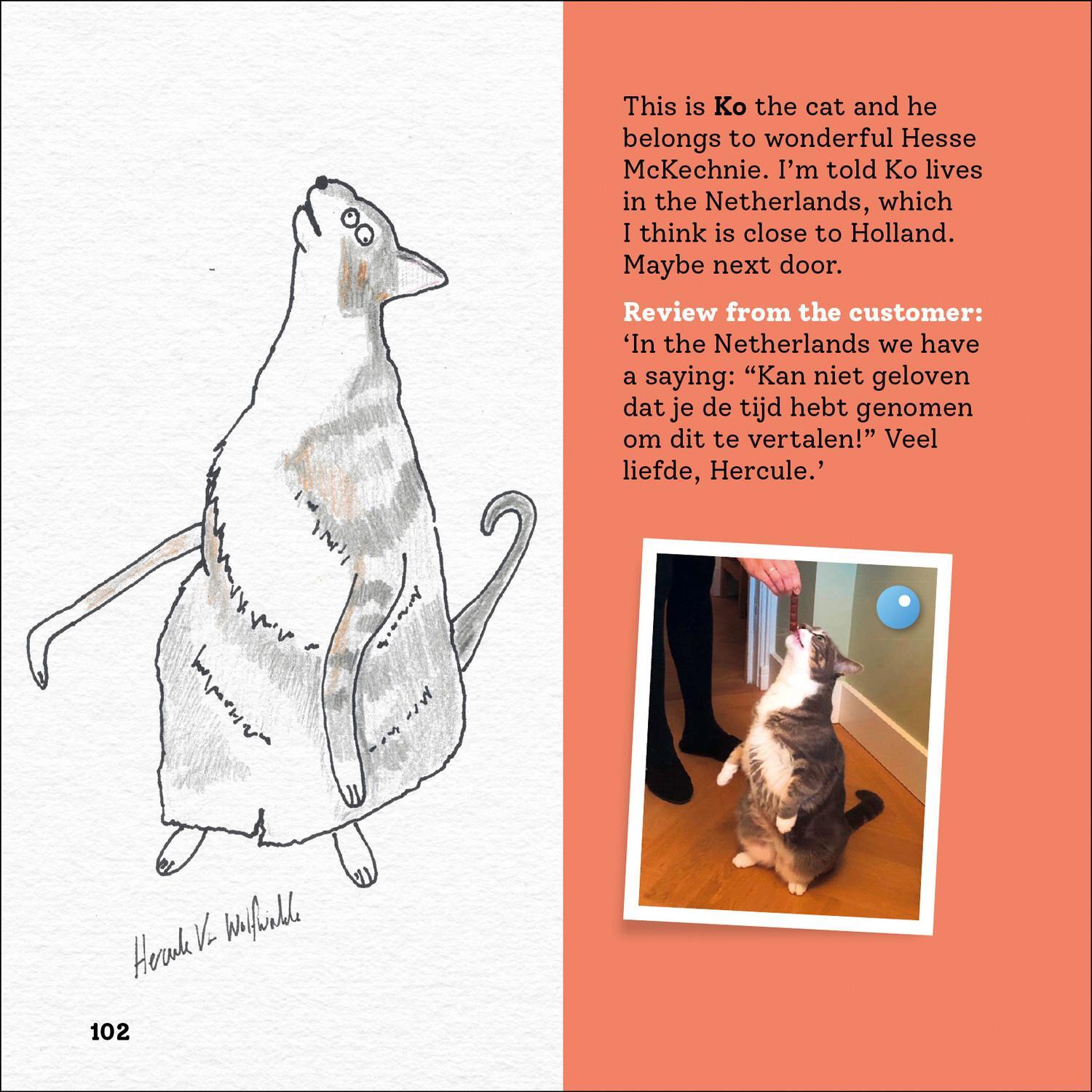 Bild: 9780008468163 | Rubbish Pet Portraits | Hercule van Wolfwinkle | Buch | Gebunden