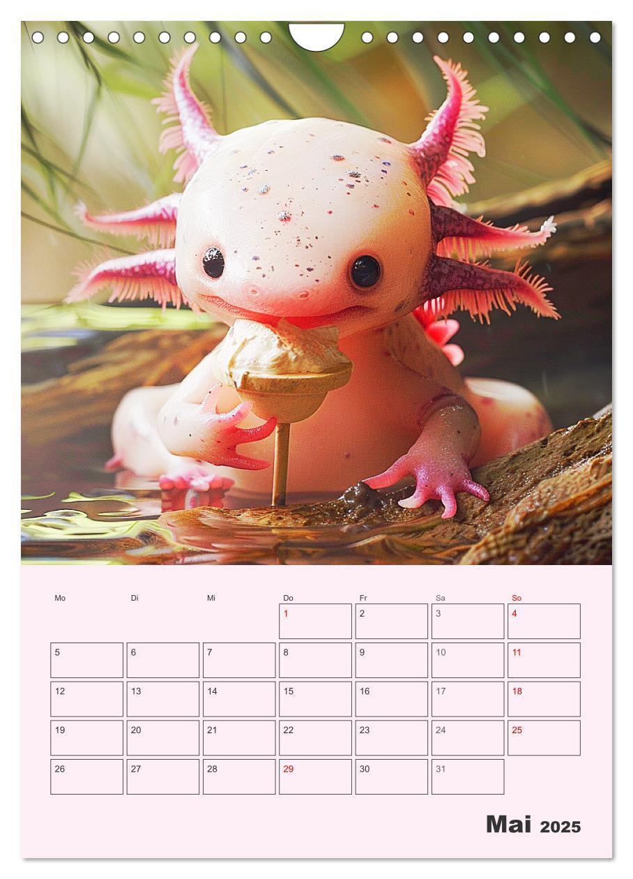 Bild: 9783383807602 | Axolotl. Lustiger Schwanzlurch mit Superkräften (Wandkalender 2025...