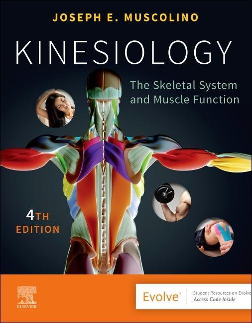 Cover: 9780323812764 | Kinesiology | The Skeletal System and Muscle Function | Muscolino