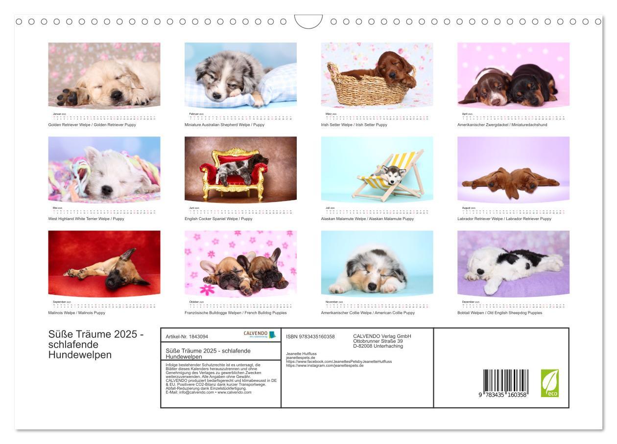 Bild: 9783435160358 | Süße Träume 2025 - schlafende Hundewelpen (Wandkalender 2025 DIN A3...