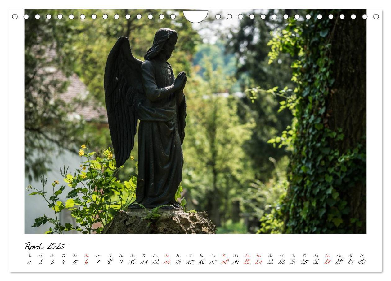 Bild: 9783435712892 | Alter Friedhof Freiburg (Wandkalender 2025 DIN A4 quer), CALVENDO...