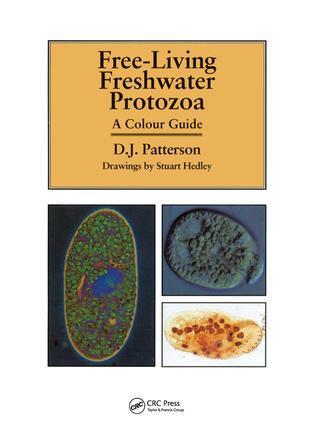 Cover: 9781874545408 | Freeliving Freshwater Protozoa | A Colour Guide | Patterson (u. a.)