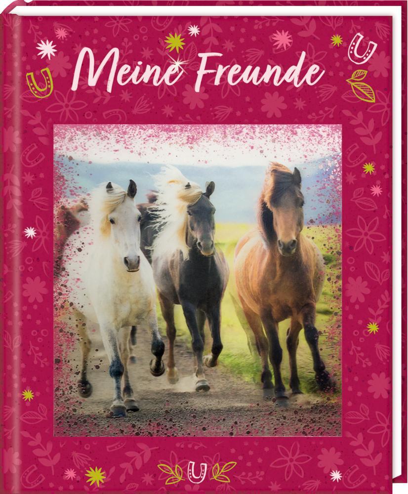 Cover: 4050003718033 | Freundebuch - Pferdefreunde - Meine Freunde | mit 3-D-Bild | Buch