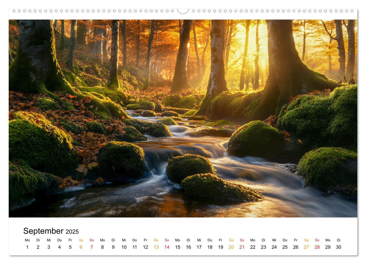 Bild: 9783457224793 | Mystik der Wälder (Wandkalender 2025 DIN A2 quer), CALVENDO...