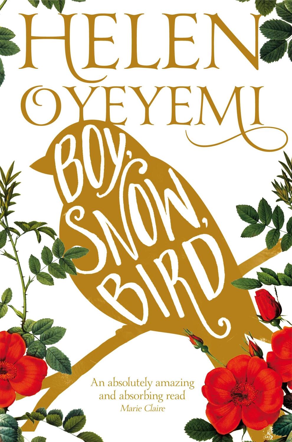 Cover: 9781447237143 | Boy, Snow, Bird | Helen Oyeyemi | Taschenbuch | 320 S. | Englisch
