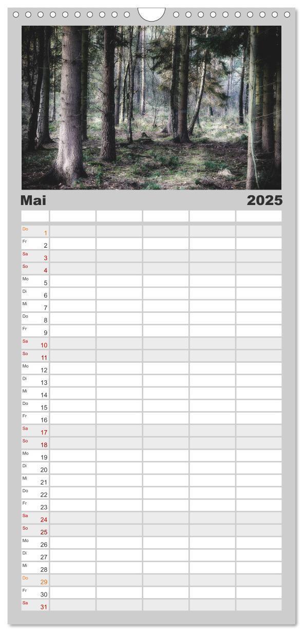 Bild: 9783457106006 | Familienplaner 2025 - Mystische Wälder mit 5 Spalten (Wandkalender,...