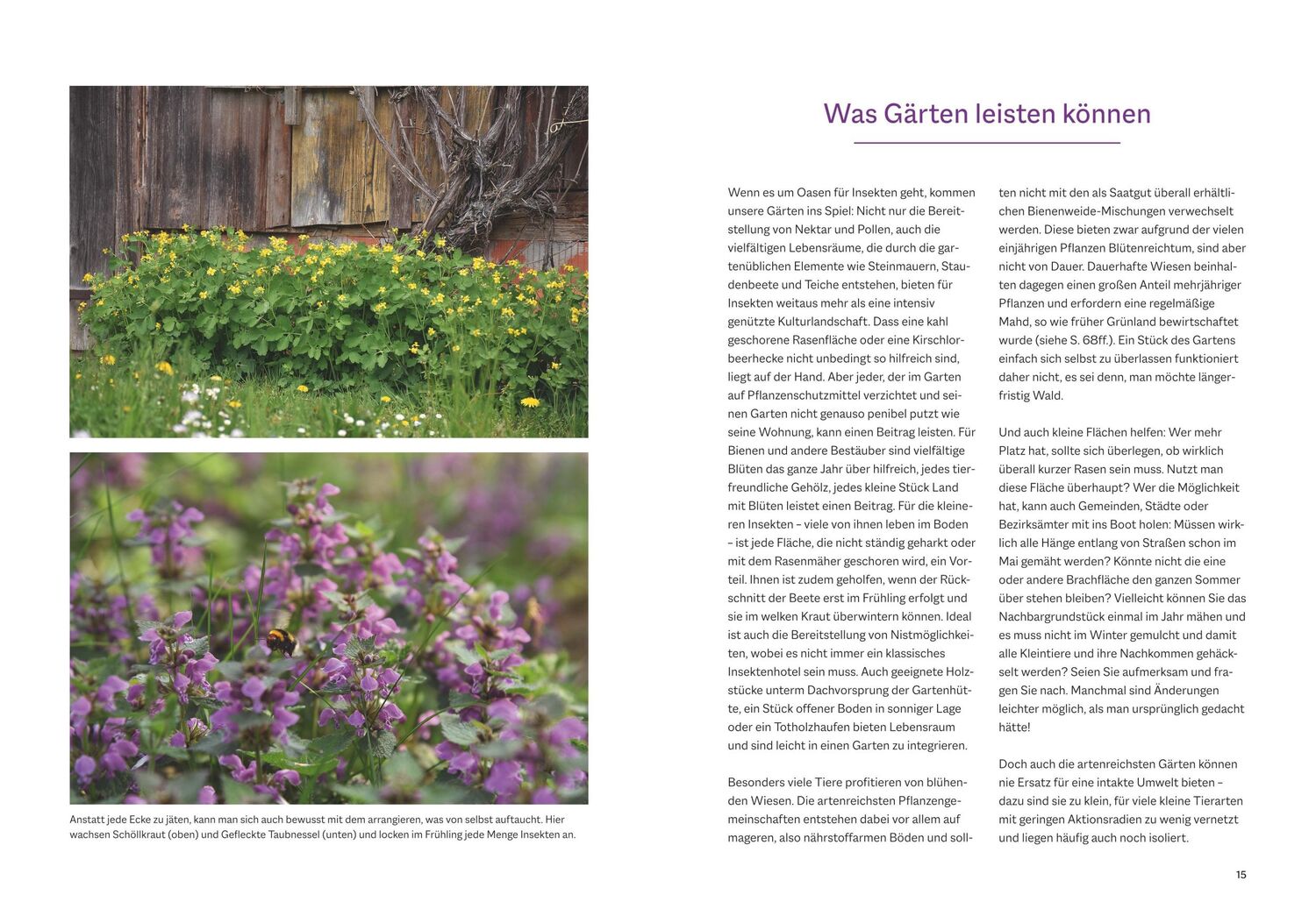 Bild: 9783967471120 | Bienenfreundlich Gärtnern | Katrin Lugerbauer | Buch | 144 S. | 2023