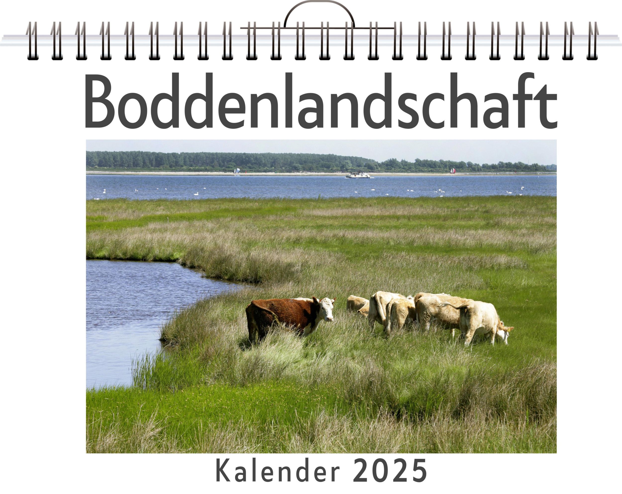 Cover: 9783759122827 | Boddenlandschaft - (Wandkalender 2025, Kalender DIN A4 quer,...