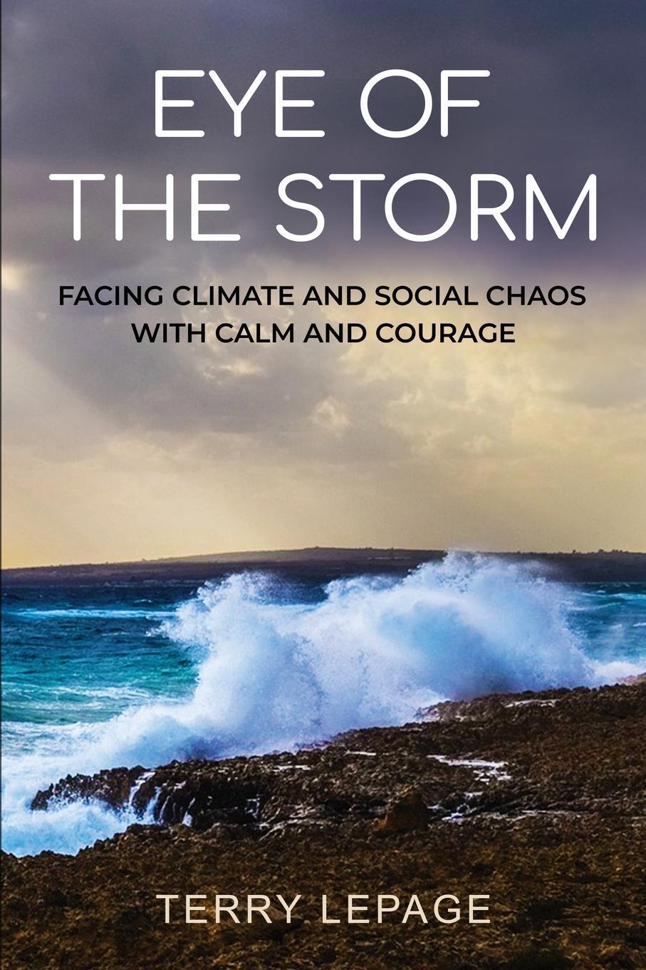 Cover: 9798988225713 | Eye of the Storm | Terry Lepage | Taschenbuch | Paperback | Englisch