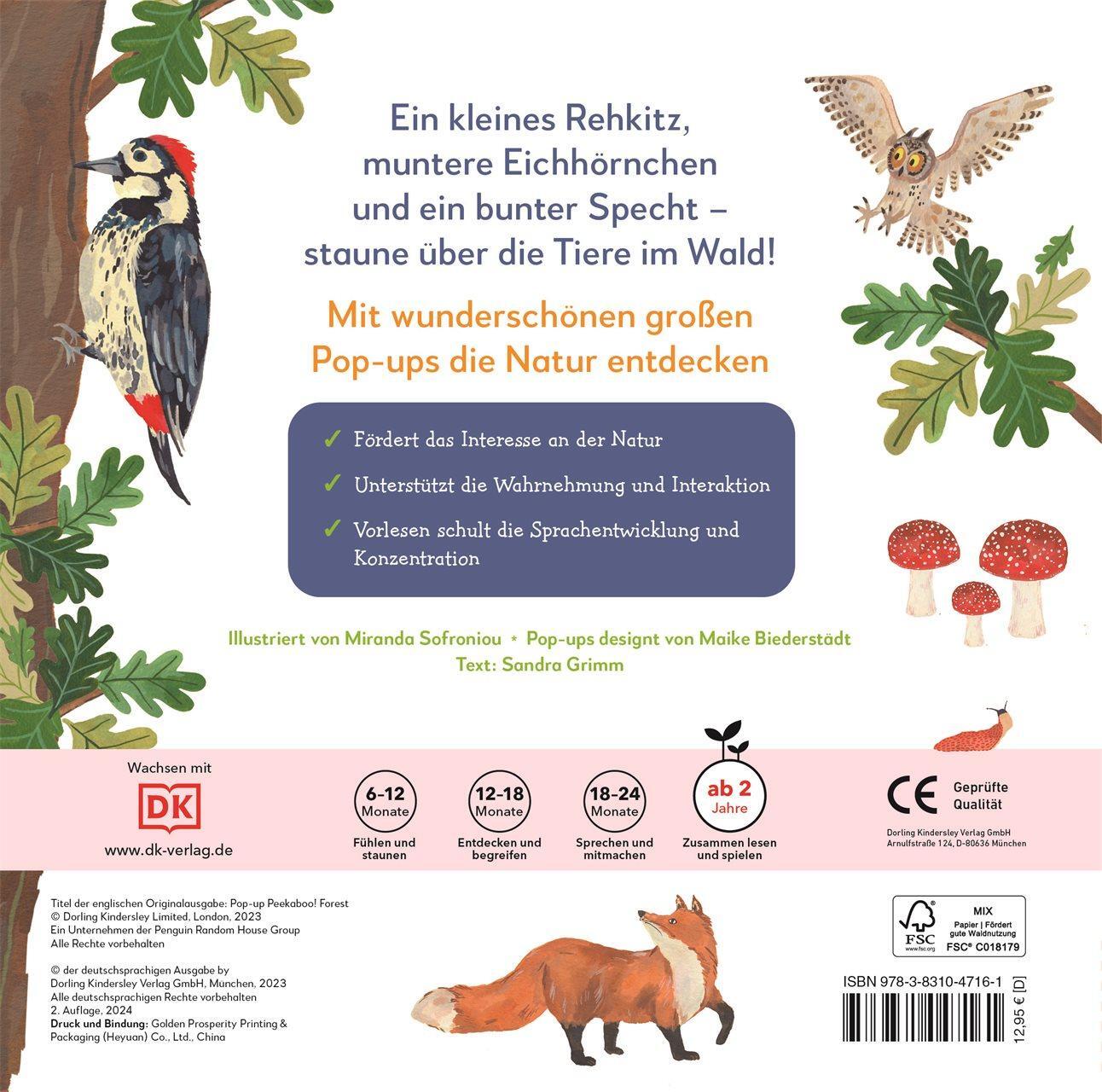 Rückseite: 9783831047161 | Mein Pop-up-Buch zum Staunen. Wer lebt im Wald? | Sandra Grimm | Buch