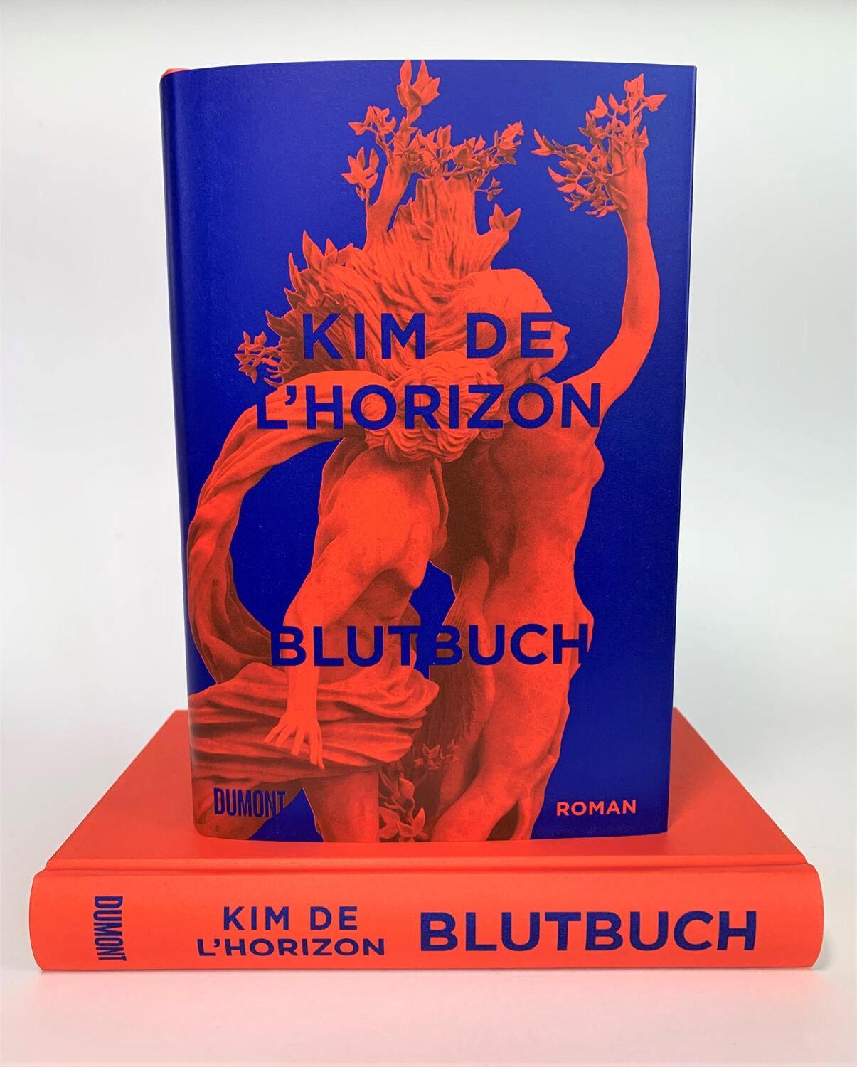 Bild: 9783832182083 | Blutbuch | Kim de l'Horizon | Buch | Deutsch | 2022