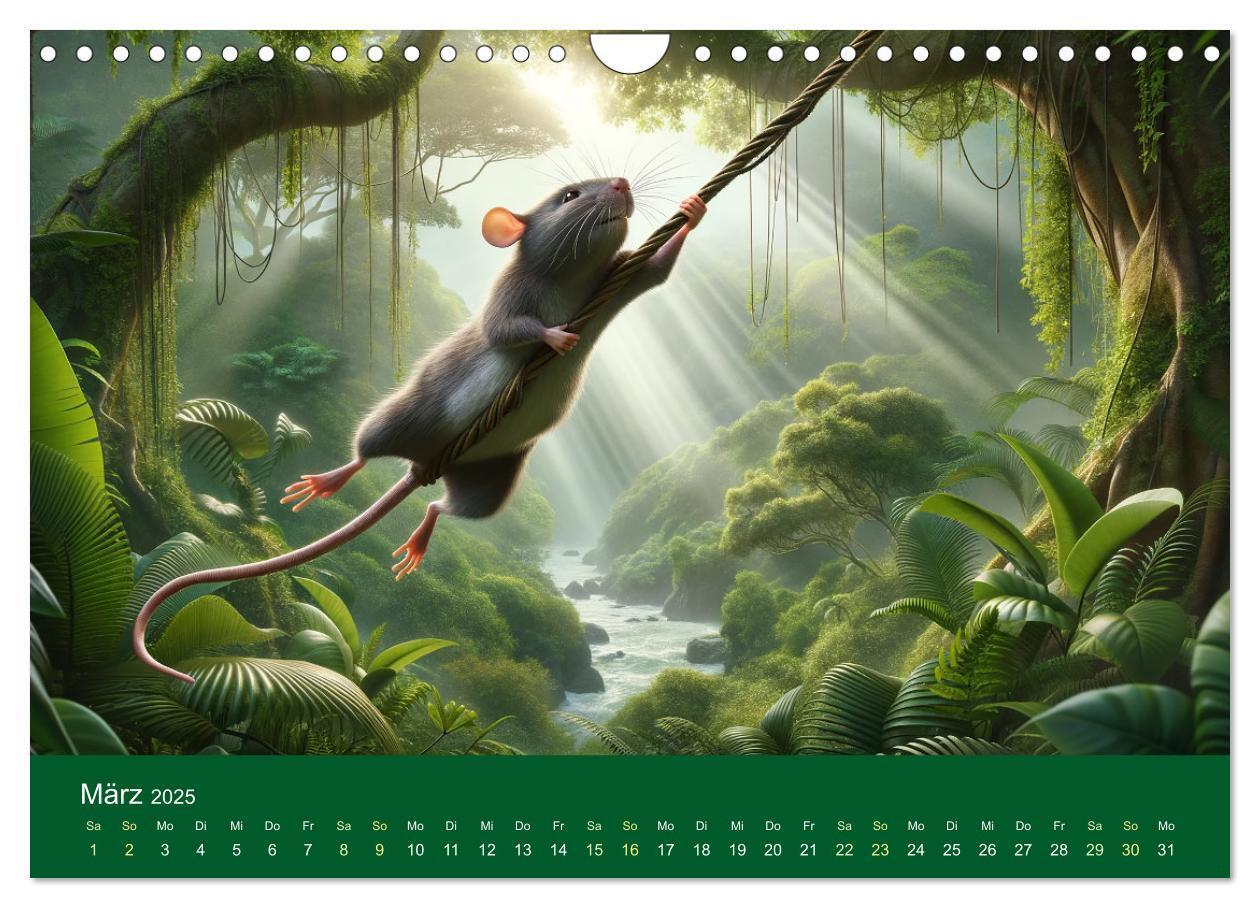 Bild: 9783383768606 | Abenteuerliche Ratten (Wandkalender 2025 DIN A4 quer), CALVENDO...