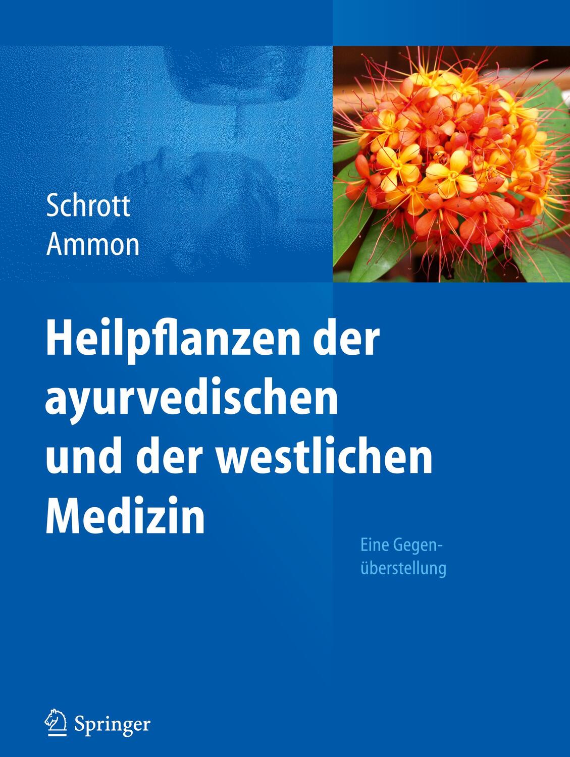 Cover: 9783642131240 | Heilpflanzen der ayurvedischen und der westlichen Medizin | Buch