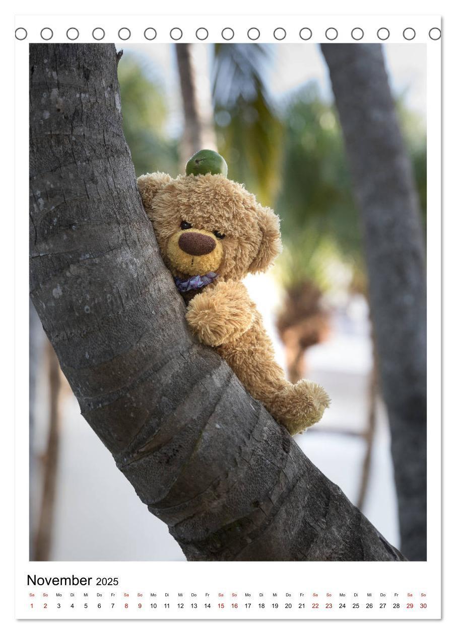 Bild: 9783435984435 | Travelling Teddy Kuba Edition 2025 (Tischkalender 2025 DIN A5...