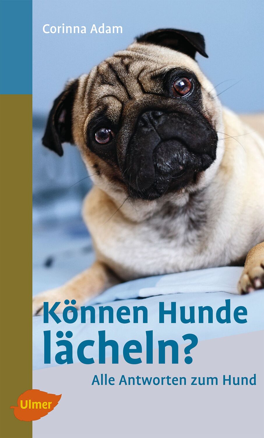 Cover: 9783800159260 | Können Hunde lächeln? | Alle Antworten zum Hund | Corinna Adam | Buch