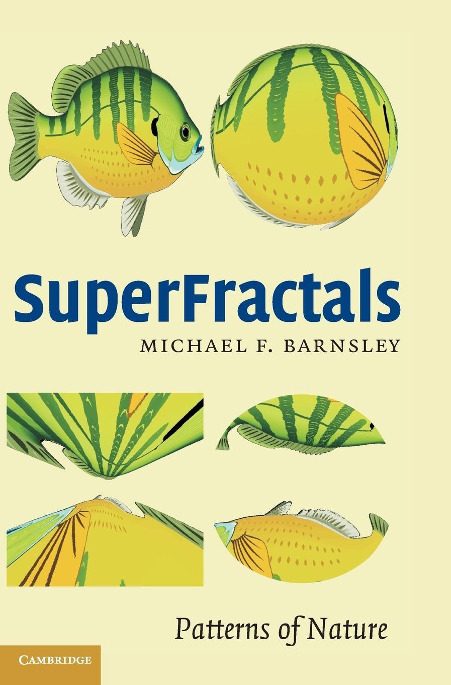 Cover: 9780521844932 | Superfractals | Michael Barnsley | Buch | HC gerader Rücken kaschiert